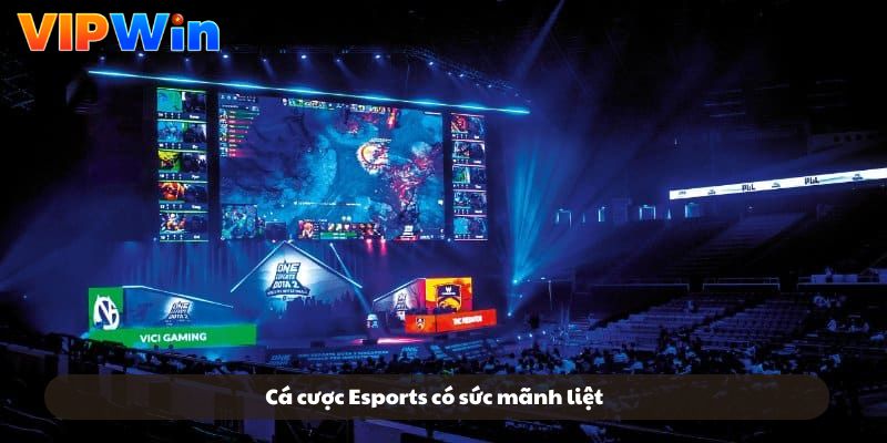 Cá cược Esports có sức mãnh liệt