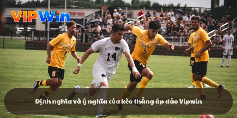 Định nghĩa và ý nghĩa của kèo thắng áp đảo Vipwin