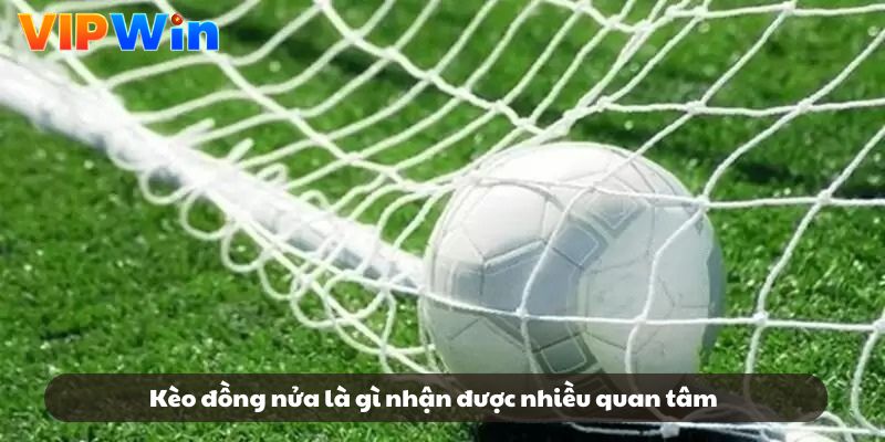 Kèo đồng nửa là gì nhận được nhiều quan tâm