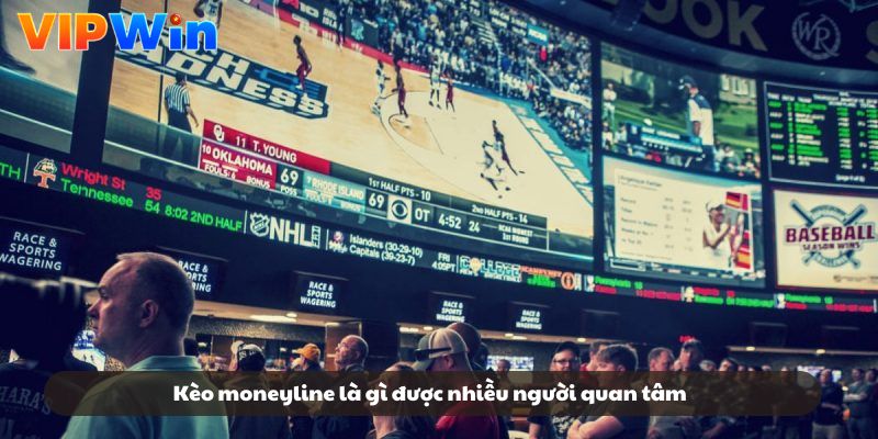 Kèo moneyline là gì được nhiều người quan tâm
