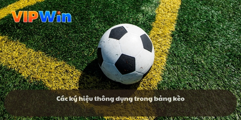 Các ký hiệu thông dụng trong bảng kèo