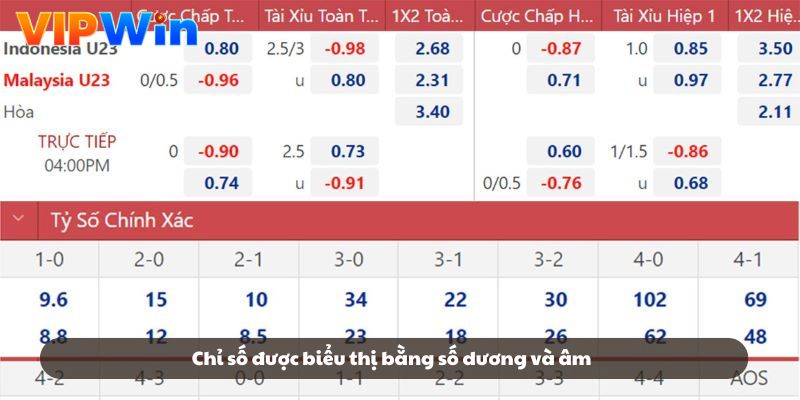 Chỉ số được biểu thị bằng số dương và âm