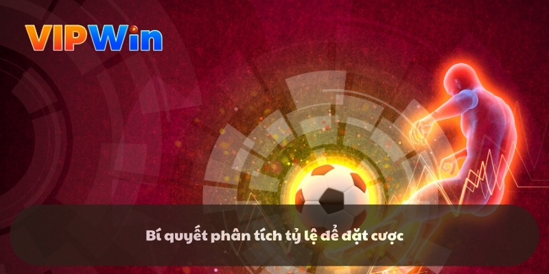 Bí quyết phân tích tỷ lệ để đặt cược
